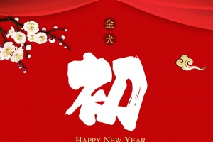 2018红色喜庆大年初一海报