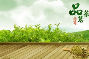 茶叶海报