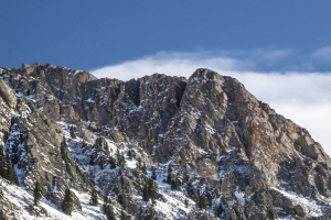 山 峰 雪 树 斜坡 4k壁纸 3840x2160