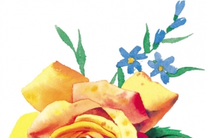 花卉