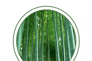 中国风二十四节气立夏