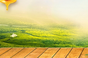 黄色大自然蜂巢蜜蜂蜂蜜电商banner