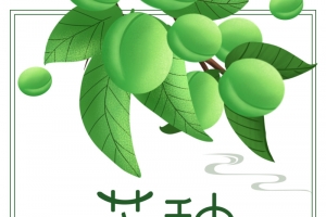 芒种二十四节气树叶果子云