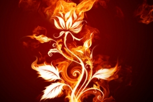 火焰花纹科幻背景banner设计