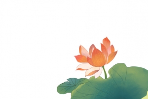 荷花手绘中国风