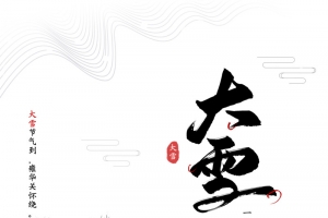 冬季大雪树枝条纹梅花雪花