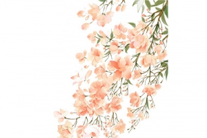 谷雨手绘花朵元素