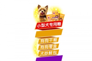 宠物食品悬浮导航PNG素材免费下载