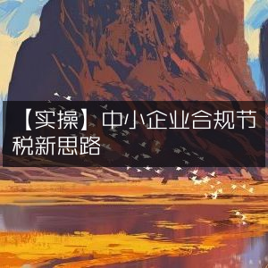 实操指南，中小企业合规节税新策略