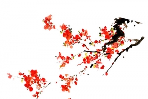 手绘梅花 右边角