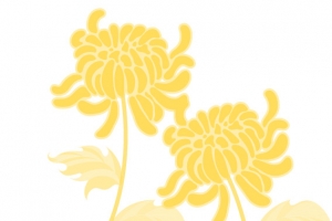 矢量秋菊