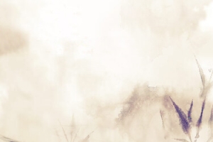 中国风荷花banner