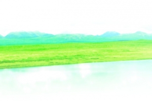 辽阔田野远景图