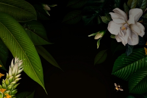 绿色树叶创意森林树林花朵鲜花背景素材