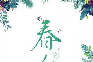 春分手绘植物元素