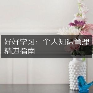 精进个人知识管理，好好学习，提升能力必备指南