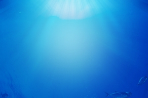 海鲜海虾海报背景素材
