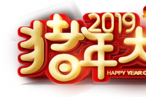 2019年猪年大吉立体字