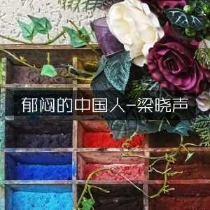 梁晓声笔下的中国人情感探索 - 《郁闷的中国人》文学艺术书籍