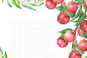 夏天热销水果荔枝海报