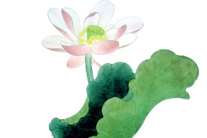 国画荷花