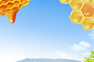 蓝天草地蜂巢蜂蜜PSD分层主图背景素材