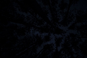 棵树 星空 黑暗 夜晚 4k壁纸 3840x2160