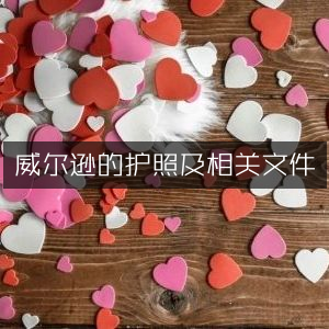 威尔逊护照及文件的历史文化书籍