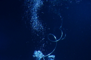 蓝色气泡海鱼海底