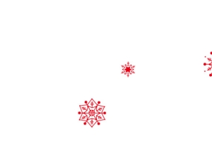 雪花挂饰