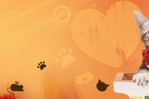 宠物美容卡通童趣banner