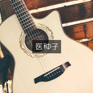 医种古籍|经典文集