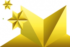 金色半边五角星党建