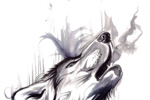 狼