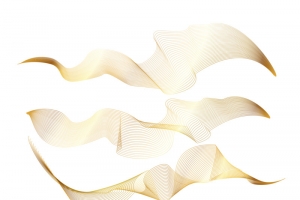 高级金色条纹背景素材