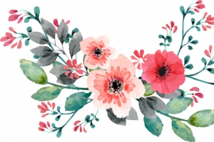 红色手绘水彩蔷薇花藤