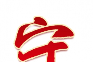 迎春纳福新年快乐过年了守岁