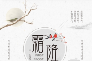中国风霜降节日海报