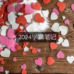 2024年学霸精华笔记