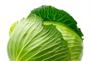 包菜蔬菜青菜