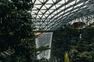 植物 树叶 温室 建筑 水 4k壁纸 3840x2160