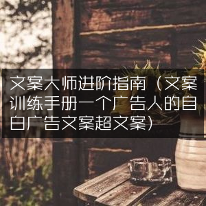 文案高手进阶宝典，融汇文案训练、广告人自白与超文案精髓