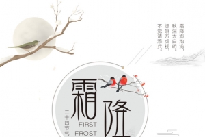 霜降白雪皑皑树林结冰的河