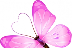 春季粉色蝴蝶装饰高清PNG透明图片-动物设计素材免费下载