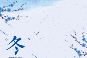 传统节气冬至蓝色中国风简约饺子海报