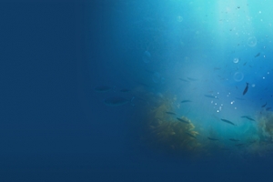 护肤品海底梦幻背景banner