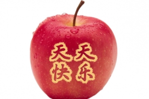 天天快乐