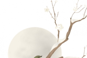 树枝上的小鸟