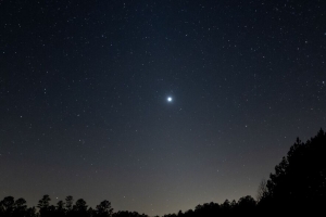 夜 星空 星星 树木 4k壁纸 3840x2160