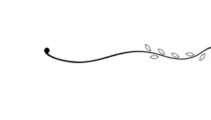 分割线花纹
